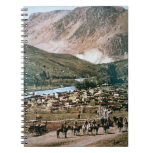 Cattle Ranch, Colorado, 1899 (photo) Notebook
