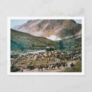 Cattle Ranch, Colorado, 1899 (photo) Postcard
