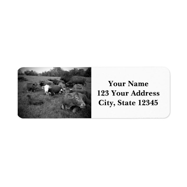 Cattle Return Address Labels (Front)