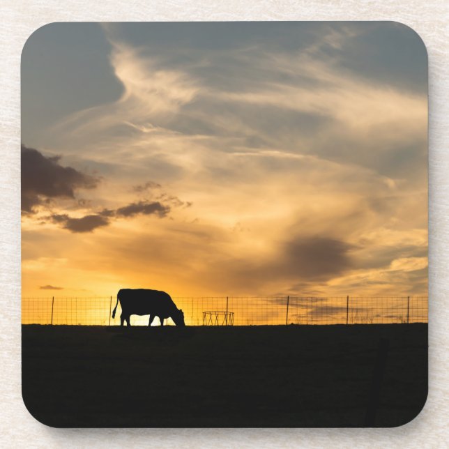 Cattle Sunset Silhouette Coaster (Front)