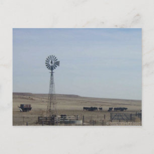 Cattle,Windmill and Ghost Postcard