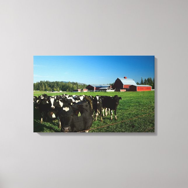 Cattle with Red Barn and Mount Rainier Canvas Print (Front)