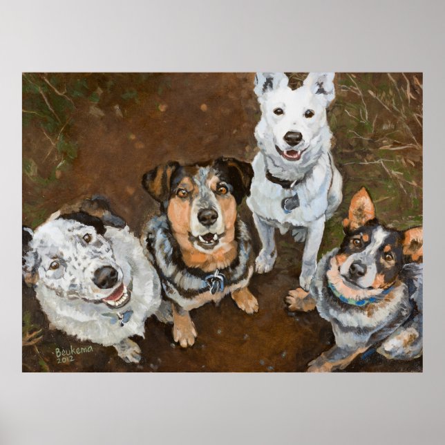 Cattledogs Cattle Dogs and Heelers Brown Hued Poster (Front)