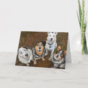 Cattledogs Smiling Cattle Dogs and Heelers Card