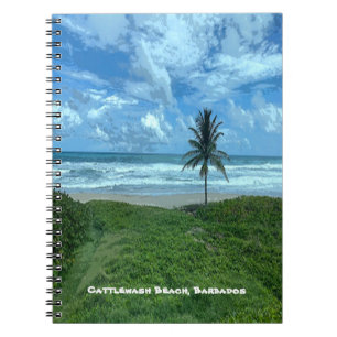 Cattlewash Beach, Barbados Notebook