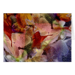 Cattleya and phalaenopsis orchids - Card