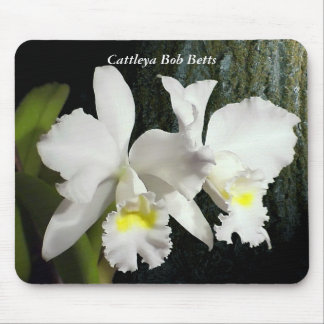 Cattleya Bob Betts Mouse Mat