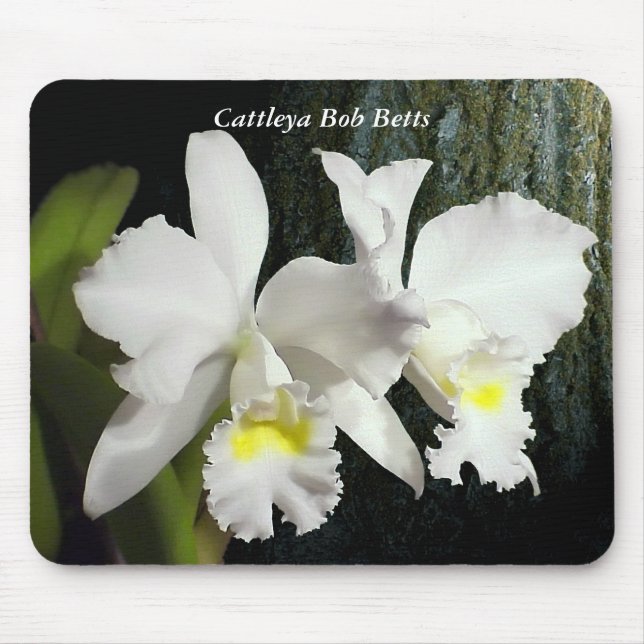 Cattleya Bob Betts Mouse Mat (Front)