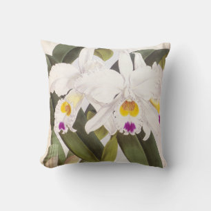 Cattleya Morgane Vintage Lindenia Orchid Cushion