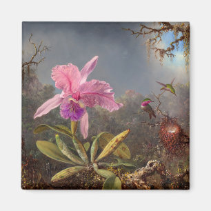 Cattleya Orchid and Three Hummingbirds by Heade Magnet