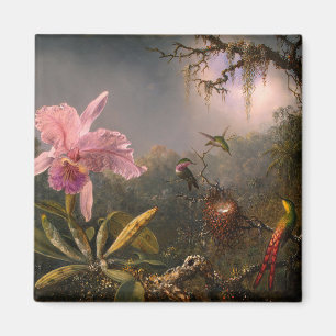 Cattleya Orchid and Three Hummingbirds (Heade) Magnet