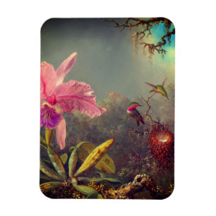 Cattleya Orchid and Three Hummingbirds Heade Magnet