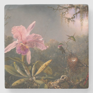 Cattleya Orchid and Three Hummingbirds (Heade) Stone Coaster