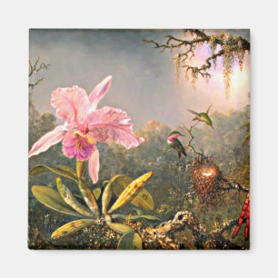 Cattleya Orchid and Three Hummingbirds Magnet