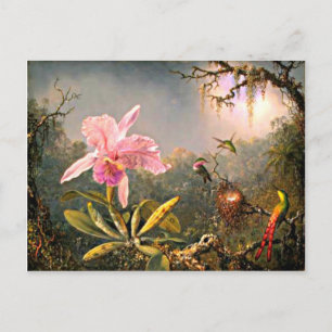 Cattleya Orchid and Three Hummingbirds Postcard