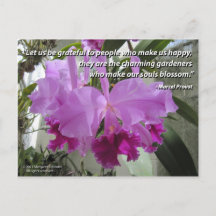 Cattleya Orchid Love and Friendship Postcard