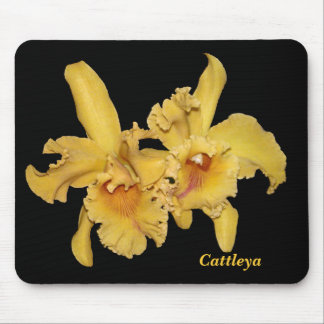Cattleya Orchid Mousepad