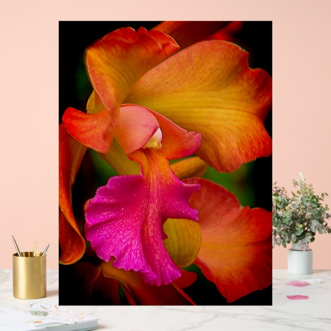 Cattleya Orchid Portrait Acrylic Sign (Wedding)
