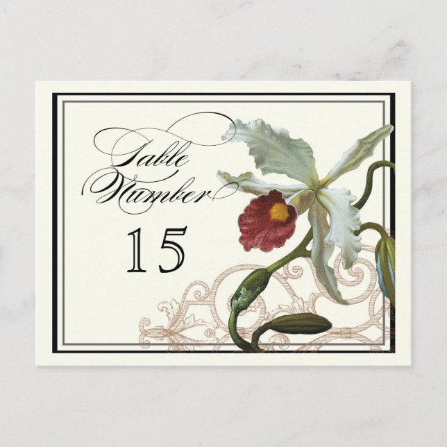 Cattleya Orchid taupe -  Table Placecard Numbers Postcard (Front)