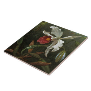 Cattleya Orchid tile
