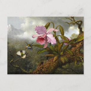 Cattleya Orchid, Two Hummingbirds and a Beetle Postcard