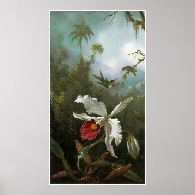 Cattleya Orchid Vintage Poster (Front)
