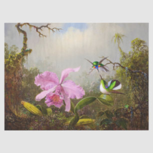 Cattleya Orchid with Two Brazilian Hummingbirds Tissue Paper