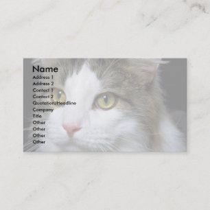 Catty Business Card