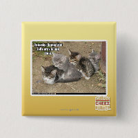 Caturday Conga Line