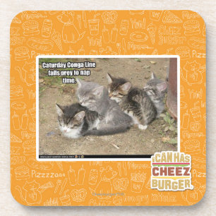 Caturday Conga Line Coaster