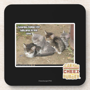 Caturday Conga Line Coaster