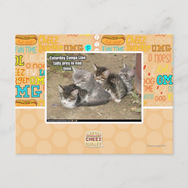 Caturday Conga Line Postcard (Front)