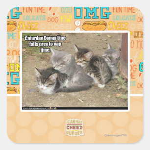 Caturday Conga Line Square Sticker
