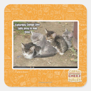 Caturday Conga Line Square Sticker