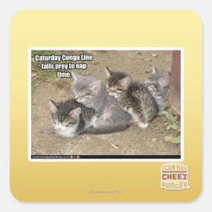 Caturday Conga Line Square Sticker