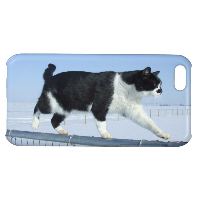 "Catwalk" iPhone 5c Case (Back Horizontal)