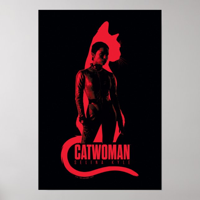 Catwoman Selina Kyle Cat Silhouette Poster (Front)