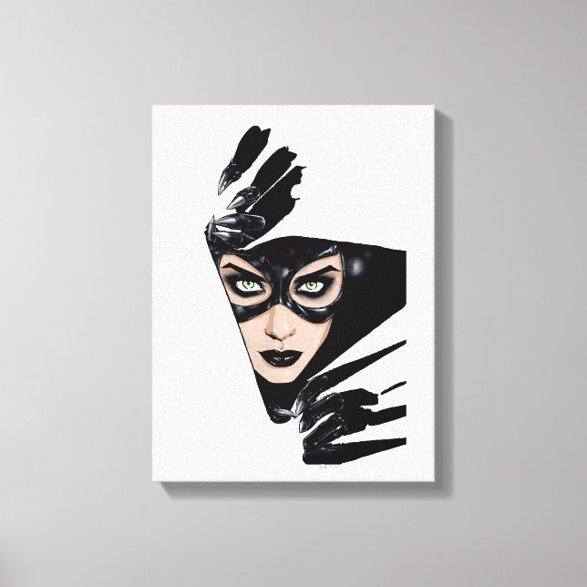 Catwoman The Claws Are Out Cover Illustration Canvas Print (Front)