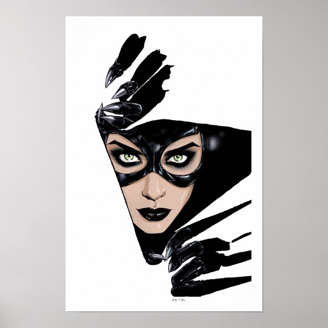 Catwoman The Claws Are Out Cover Illustration Poster (Front)