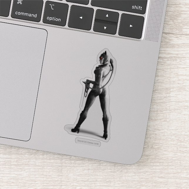 Catwoman With Whip (Detail)