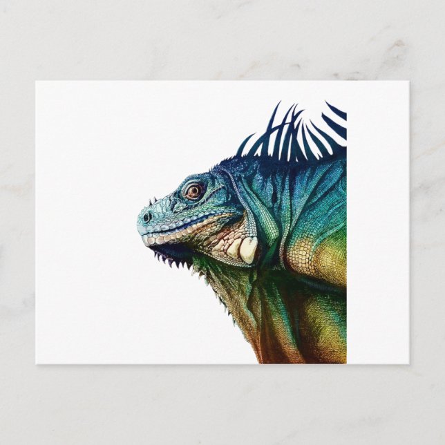 CAUGHT IN MOMENTS POSTCARD (Front)