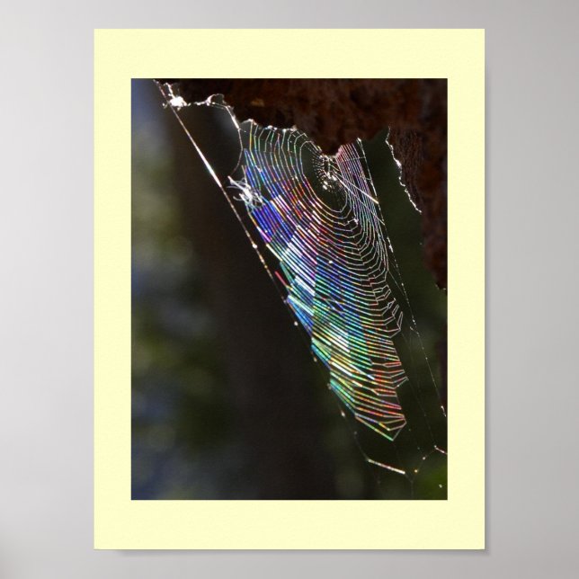 Caught In Spiders Fantasy Poster (Front)