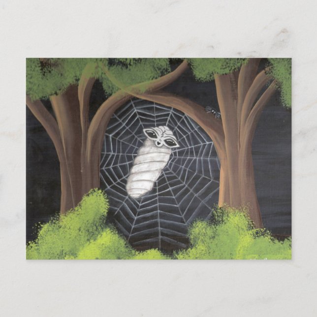 Caught Postcards (Front)