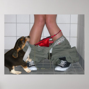 Caught with My Pants Down Again, Cute Puppy Dog Poster