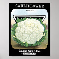 Cauliflower Card Seed Co. packet Fredonia, NY