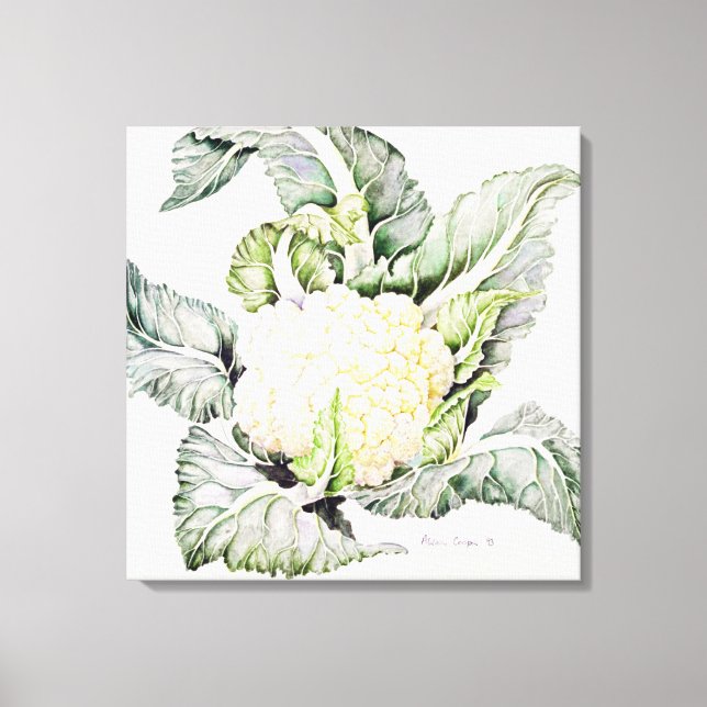 Cauliflower Study 1993 Canvas Print (Front)