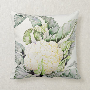 Cauliflower Study 1993 Cushion