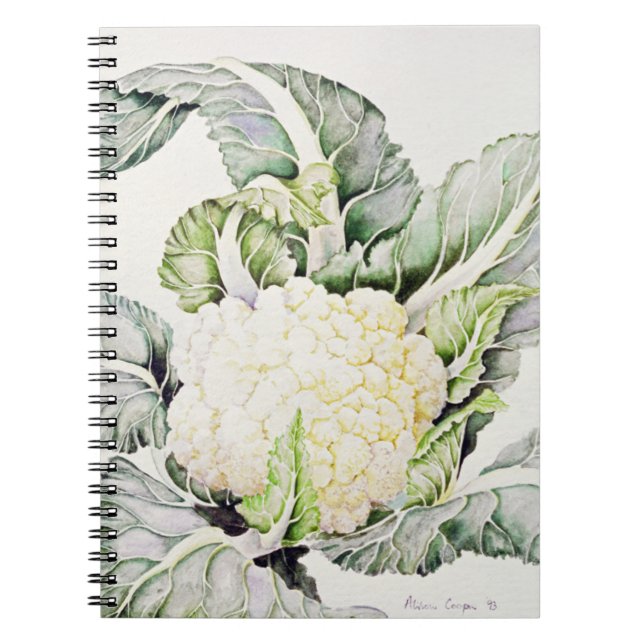 Cauliflower Study 1993 Notebook (Front)