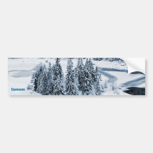 Caumasee Bumper Sticker (Front)