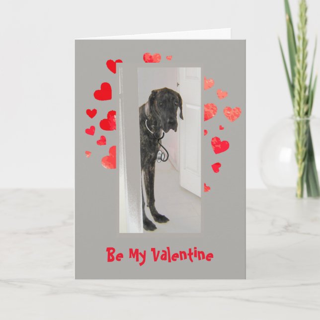 Cause I Woof Love You Great Dane Dog Valentine Holiday Card (Front)